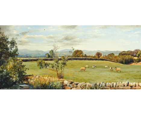 Alan R Thompson, 20th century, rural scene with sheep, signed and dated 1984, oil on canvas, 20.5 cm x 44 cm.