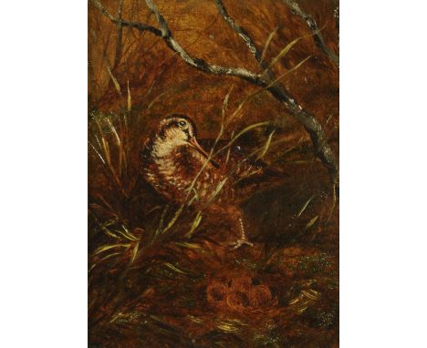 English School 19th century, "Woodcock", unsigned, oil on panel, 19 cm x 14 cm.