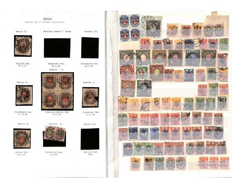 Ukraine. 1918 Trident overprint issues on Russia, the mint and used accumulation in a stockbook and on stockcards, many types