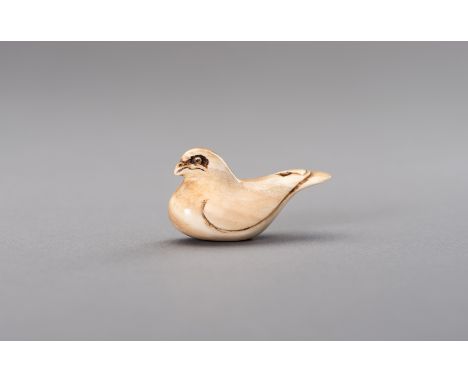 AN IVORY NETSUKE OF A DOVEJapan, Meiji period (1868-1912)The finely carved ivory netsuke of simplistic form, depicting a rest