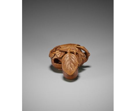 A FINE WOOD NETSUKE OF A CRICKET INSIDE A PUMPKINJapan, Meiji period (1868-1912)Finely carved as two pumpkins attached to the