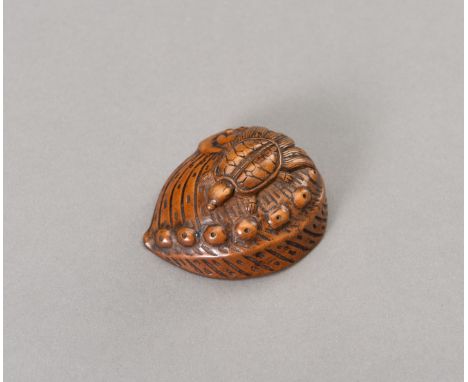 A WOOD NETSUKE OF A MINOGAME ON AN OUTSIZED AWABIJapan, Edo period (1615-1868), late 18th centuryDepicting a minogame (thousa