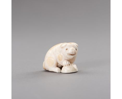 RANICHI: AN IVORY NETSUKE OF A PUPPY WITH AWABIBy Ranichi, signed Ranichi 蘭一Japan, Kyoto, early 19th century, Edo period (161