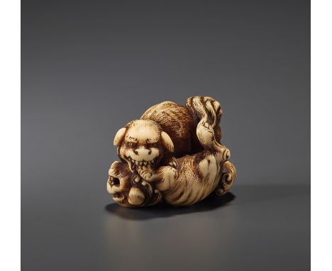 A FINE IVORY NETSUKE OF TWO FIGHTING SHISHI BY KINSHIBy Kinshi, signed KinshiJapan, 19th century, Edo period (1615-1868)A com