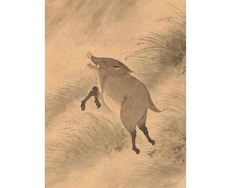 NOJIRO UNSEN: A FINE SCROLL PAINTING OF A WILD BOARBy Nojiro Unsen, signed Unsen with seals Nojiro no in and UnsenJapan, late