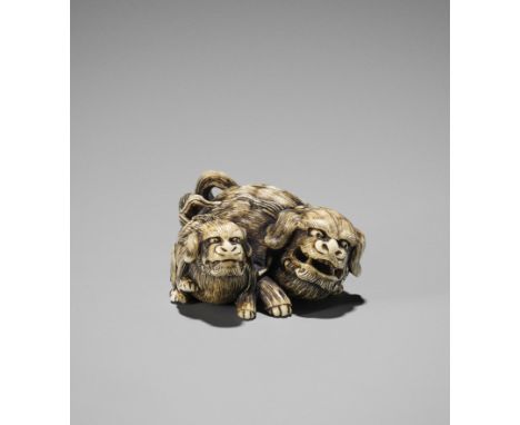 AN IVORY NETSUKE OF A SHISHI AND CUBJapan, 19th century, Edo period (1615-1868)The mother lion and its young are seated side 