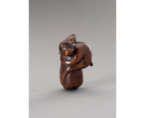 A BOXWOOD NETSUKE OF A MONKEY ON A BAMBOO SHOOTUnsignedJapan, Edo period (1615-1868)Finely carved and bearing a rich patina, 