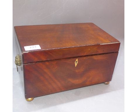 A Georgian mahogany tea caddy, raised on brass ball feet, lion head and ring handle to each side, H:17cm W:29cm