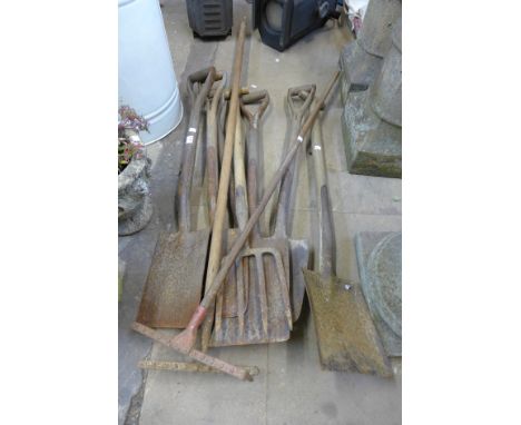 Assorted garden tools