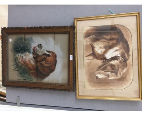 C J Montague (19th century/20th century):Portrait study of a St. Bernard,coloured chalks, signed lower right & dated 1899, H 