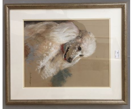 Sam Morse-Brown (British, 1903-2001):Portrait study of a poodle, 'Sprinter', signed & dated 1959, inscribed verso with furthe