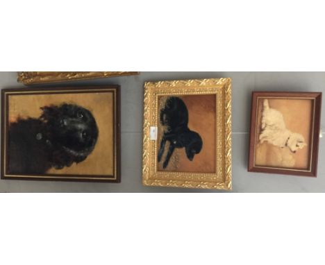 Three oils on board depicting portrait studies of dogs, the largest H 35 x W 25 cm, variously inscribed 