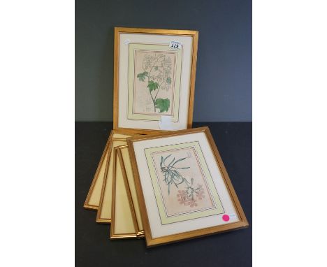 Six framed and glazed Botanical prints. 