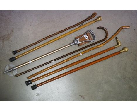 A group of walking sticks to include one with a duck head handle and a shooting stick. 