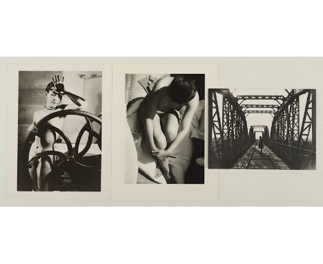 Konvolut Griffelkunst, bestehend aus: MOHOLY-NAGY, László, , „Ohne Titel (Blumenfotogramm)“, Fotografie, Fotogramm, Blatt: 40