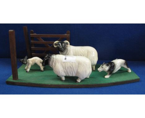 A Melba ware china group of a black faced ram, ewe and lamb with Border Collie, a wooden base with gate.  Printed marks. (4)