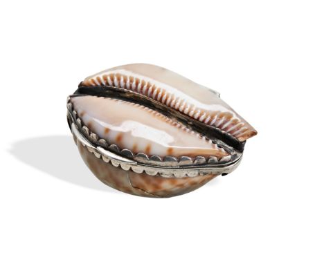 AN UNUSUALLY SMALL SILVER MOUNTED COWRIE SHELL SNUFF BOX, C.1780 Engraved to the inside "W.Hopkins".  4.6 cm.  PROVENANCE: Fr