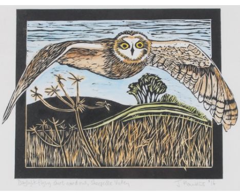 J. Hawkins, "Daylight Flying Short Eared Owl Sheepcote Valley", framed and glazed lino print 
