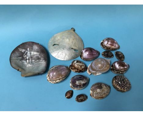 A collection of carved sea shells including two ornate mother of pearl shells.