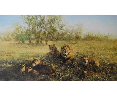 DAVID SHEPHERD (b.1931): A gilt framed and glazed limited edition print entitled "First light at Savuti". Pencil signed and N