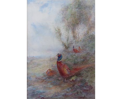 JAMES STINTON (1870-1961) A framed and glazed watercolour, Pheasants emerging from woodland with Worcester spire in the dista