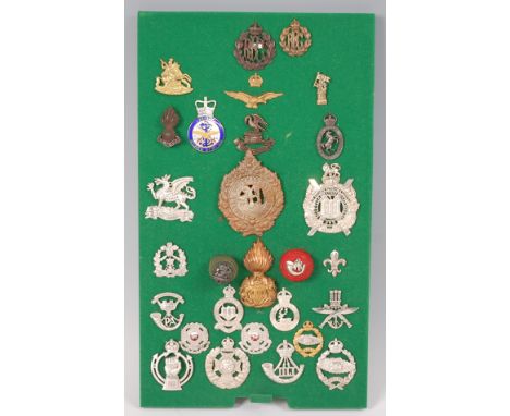 A collection of British Army cap badges and insignia, to include Middlesex Regiment (Duke of Cambridge's Own) with Albuhera i