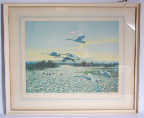 Sir Peter Scott (1909-1989), North Wind Bewick Swans, lithograph, signed in pencil to the margin, 44 x 55cm.