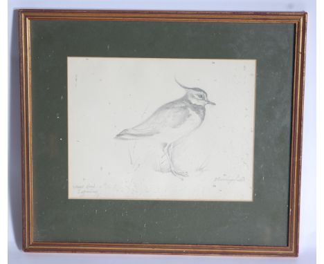 George Beningfield, (1936-1998), Stags End Lacewing, pencil sketch, signed lower right, 18 x 24cm.Frame very dirty.Sketch in 