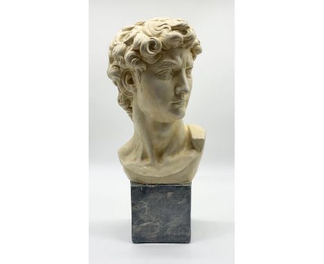 A large plaster portrait bust of David, 20th century marked 983 to reverse - Height 60cm