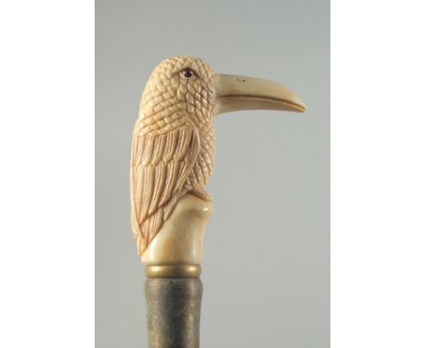 A CARVED BONE HANDLED WALKING STICK "BIRD".