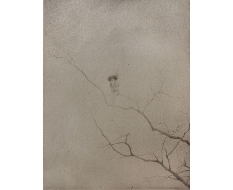 CHARLES PROSPER SAINTON (1861-1914) Tree branch with fairy, print, pencil signed in the margin, 36 x 29cm
