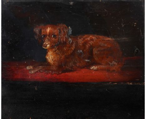 ENGLISH SCHOOL (LATE 18TH CENTURY) Portrait of a brown Cavalier King Charles spaniel, oil on panel, 27 x 31.5cm, unframed