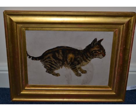John Wilson Hepple (1853-1937) Portrait of a tabby cat, oil on board, 23.5cm by 33cm  Provenance: The artist's family Anderso