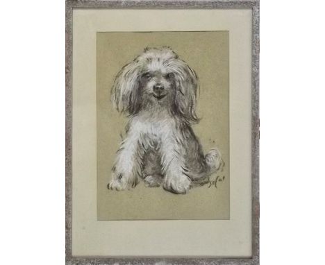 HYMAN SEGAL.
Dog portrait. Charcoal & chalk. Signed.
27 x 18cm.