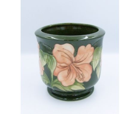 Moorcroft Hibiscus on green ground planter: height 18cm. 