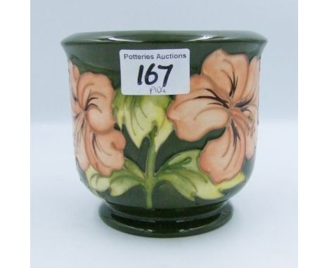Moorcroft Hibiscus on green ground small planter: height 12cm. 