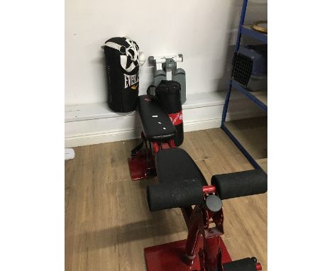 EXERCISE BENCH 2 TRAINING BAGS AND STEPPER