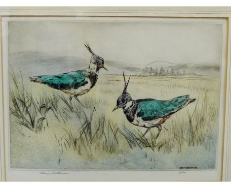 Henry Wilkinson, (1921-2011)  'Lap-Wings' Hand coloured engraving on paper,  limited edition No.111/150, signed in pencil, in