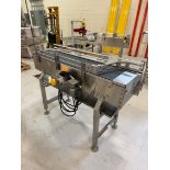 Stainless Steel Frame Accumulation Table, Approx 12" W x 60" OAL with Drive | Rig Fee $100