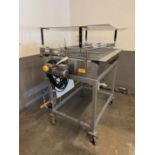 Stainless Steel Frame Portable Accumulation Table, Approx 4' x 3' | Rig Fee $50