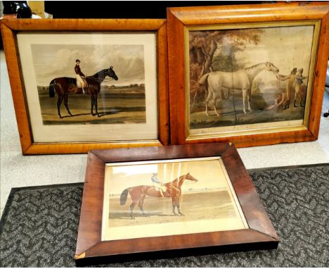 1840 framed print of 'Crucifix' racehorse in a mahogany veneer frame (with slight losses) - 53cm x 60cm, 1838 'Amato' racehor