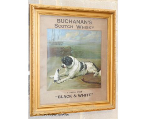   Buchanan's Scotch Whisky, 'black and white; a coloured advertising print. W-40, H-41cm.