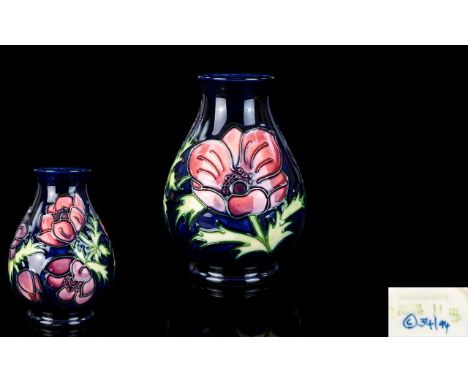 Moorcroft Modern Tube lined Bulbous Shaped Vase ' Anemone ' Design on Blue Ground. Designer Walter Moorcroft. 5.5 Inches High