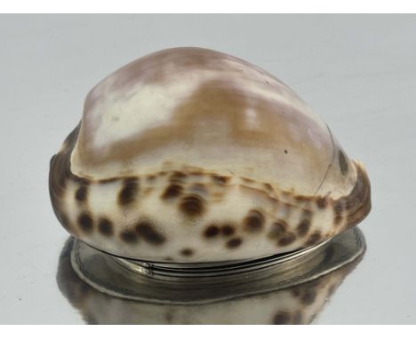 A George III Scottish cowrie shell snuff box, polished shell, bright cut engraved hinged cover with monogram, 8cm wide 
