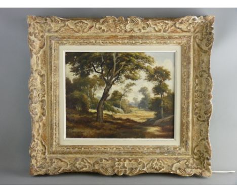 ALEX LEFORT oil on canvas - woodland scene with contrasting light effect, signed, 32 x 40 cms