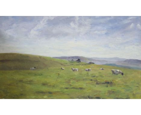 Neil Tyler (1945-), oil on board, Sheep in landscape, a coastal sketch verso, signed and dated '94, 31 x 48cm, unframedCONDIT