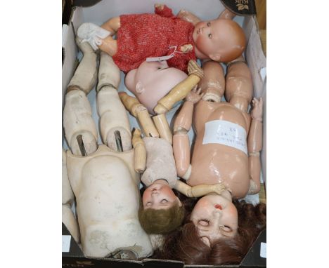 Assorted dolls, one body jointed K&amp;R head, two arms (a.f.)