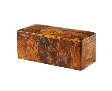 A 19TH CENTURY BLONDE TORTOISESHELL VENEERED TEA CADDY of rectangular shape with silver wired panels, the hinged lid revealin