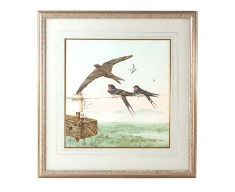 MICHAEL (MIKE) JACKSON. A 20TH CENTURY WATERCOLOUR SWALLOWS IN FLIGHT AND PERCHED ON A LINE signed and dated 1982, in glazed 