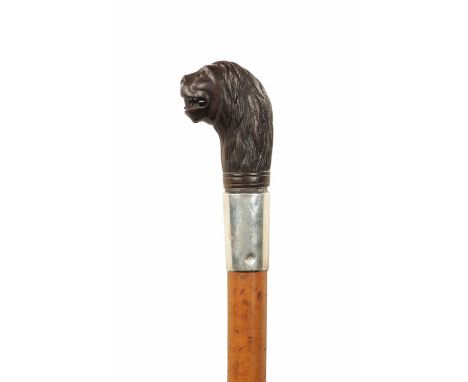 AN EARLY 20TH CENTURY CARVED LION'S HEAD AND MALACCA CANE WALKING STICK WITH SILVER COLLAR hallmarked Birmingham, 1900 with m